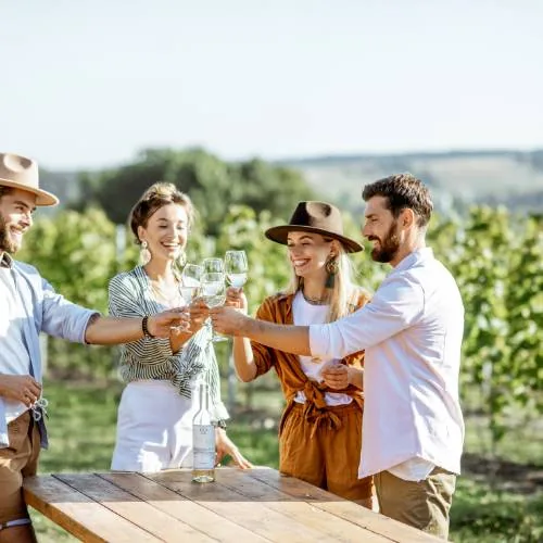 wine tasting for coed bachelor bachelorette party