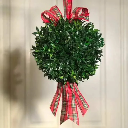 Boxwood kissing ball for bridesmaids