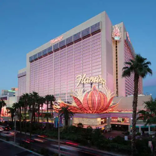 Flamingo Hotel