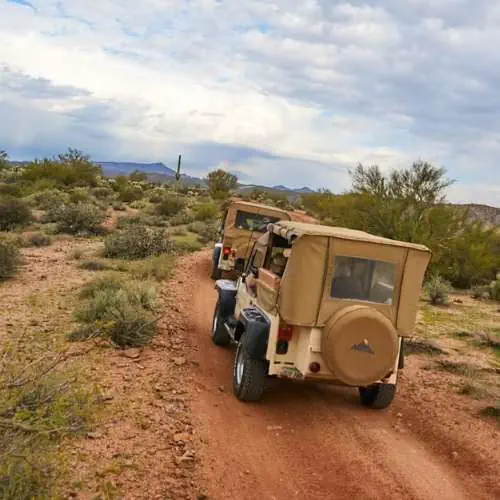Sonoran Desert Jeep Tour