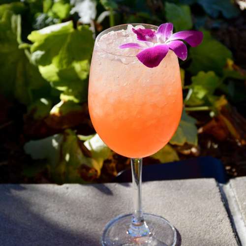 LA Jackson_spritz