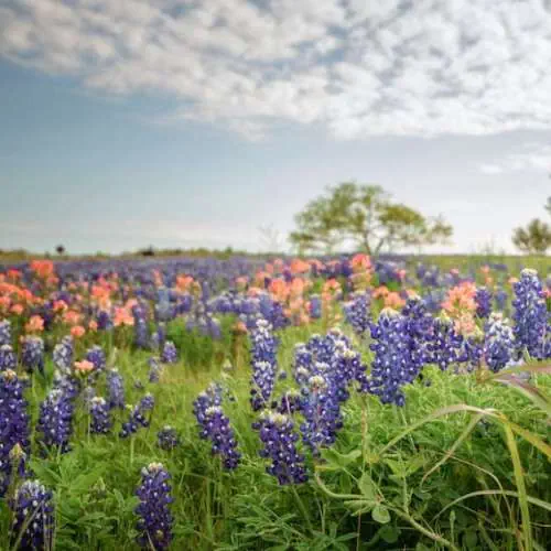 Texas Hill Country