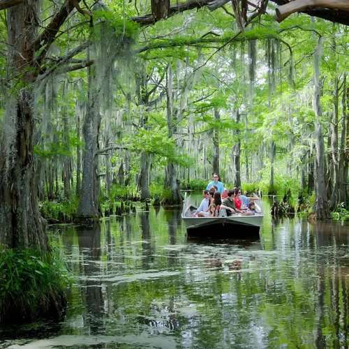 Cajun Encounters Swamp tours
