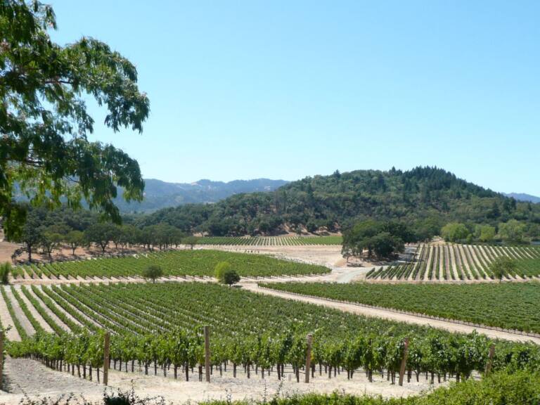 Napa Valley Bachelorette party