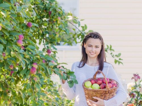 bride to be picking apples