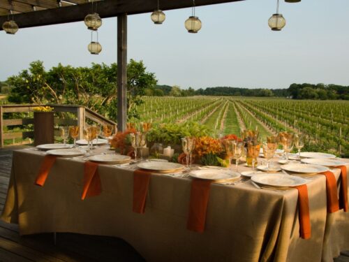 outdoor table setting in a vineyard