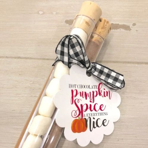 Pumpkin Spice Hot Chocolate