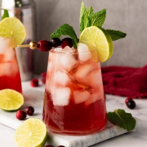 cheap-bridal-shower-game-prizes Cranberry Lime Mocktail