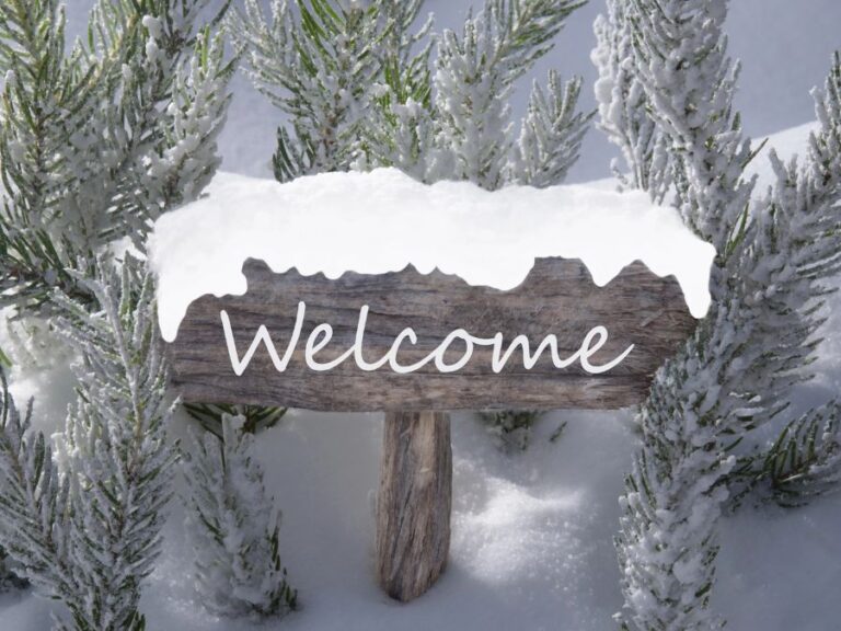 Welcome sign for winter bridal shower venues