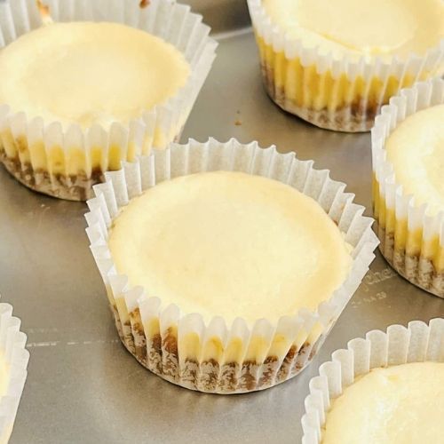 Mini Biscoff Cheesecakes
