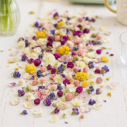Dried-flower-confetti