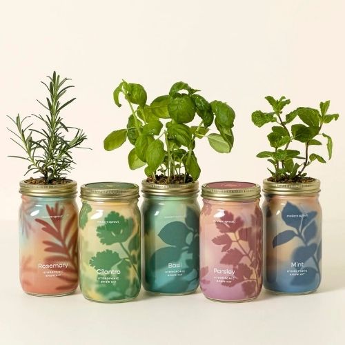 Indoor Herb Garden