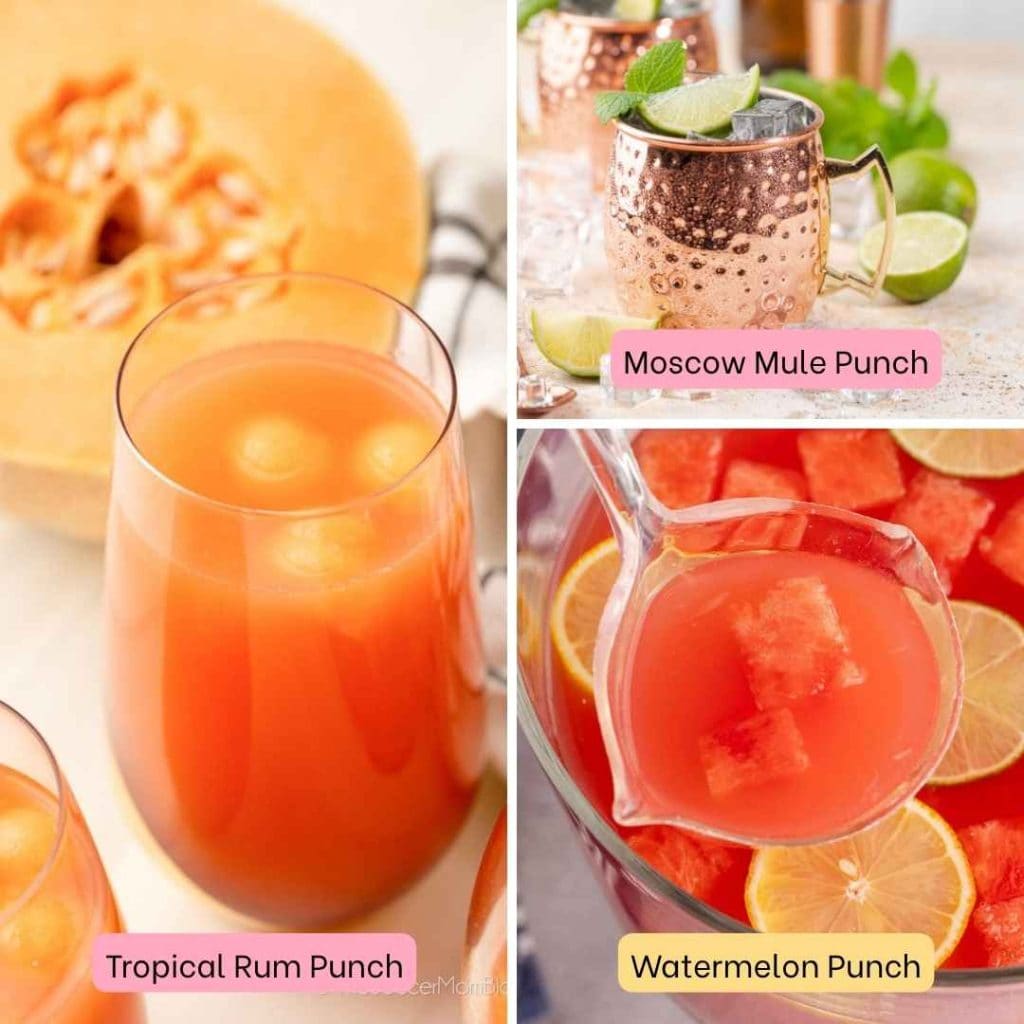Fruity and Cocktail Punches for a bridal shower